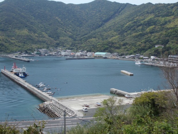 スイム会場