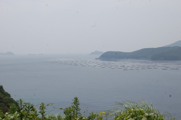 船越湾