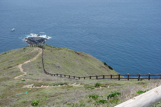 高茂岬