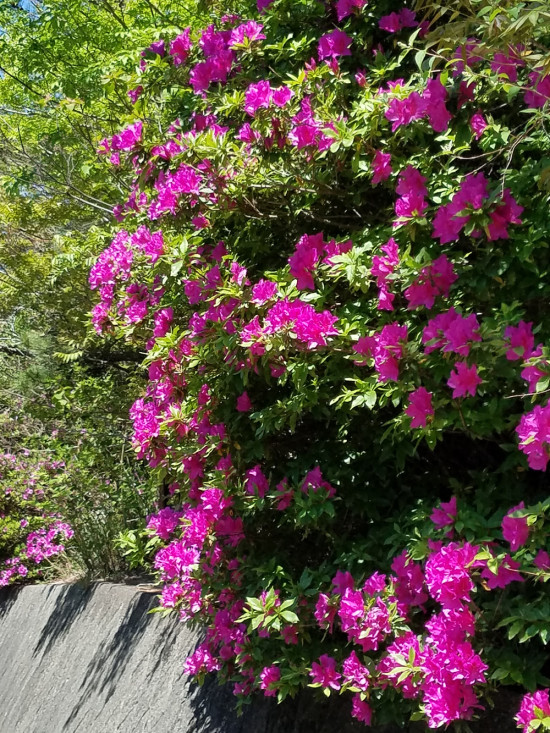 20170423_104947